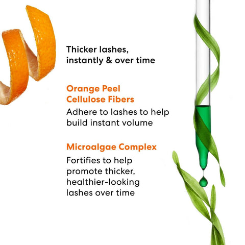 V5H77C28544FEB44A078DC9E44FA167DF30R6242039P4