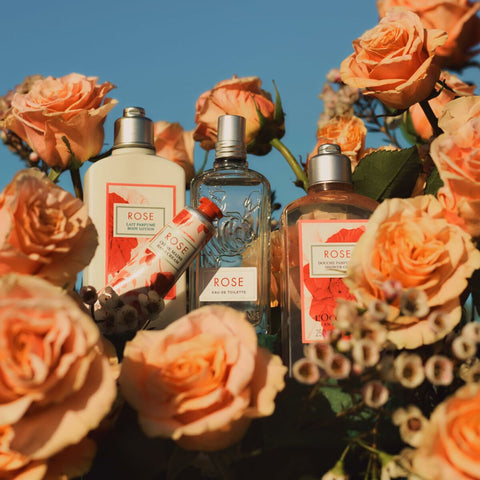 V3H67EC4F1619BF2FBEFA6EF44F51DC930DR6240740P4