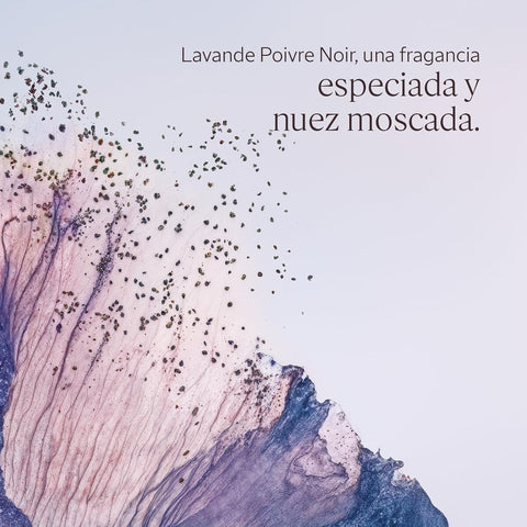 V4H03D3F0776E0C145FD66E0CADEC3C69DCR7407109P2