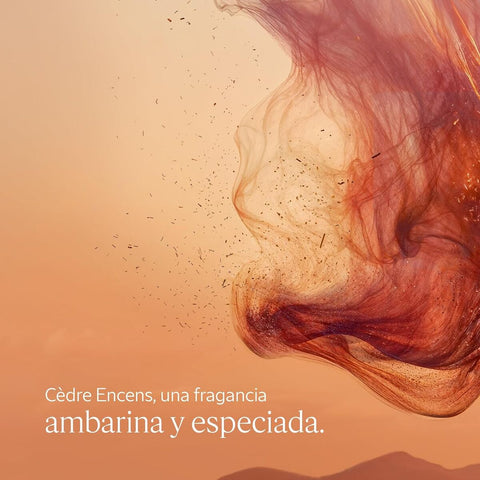 V2H3E96E67B7021DCAE836E6E877317C245R7407116P3