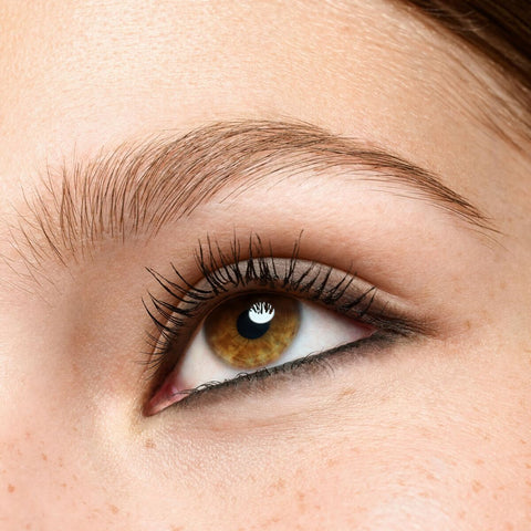 V3H12925F8B963380EDDEAEE04D00E987B6R7477146P9