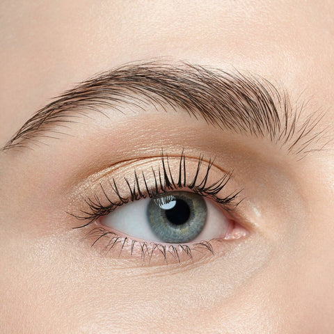 V4H5A3DD9A2E29B61AB24651A74BBF9F551R7493982P8