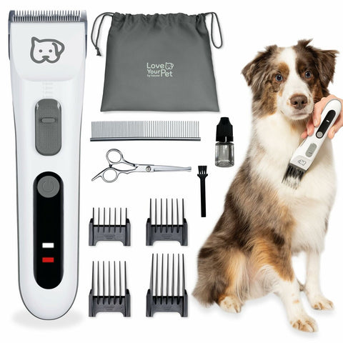 V4H9C2DE16DF82BC5F31945DB47E5B581DAR7525855P1