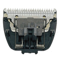 V2H96087B20948B228CFAE2C9A912D44513R5593869P1