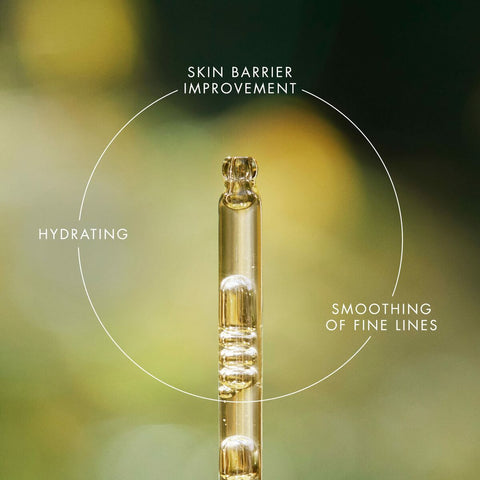 V2H50172A424EB0739E2562C6407E119865R7477110P5