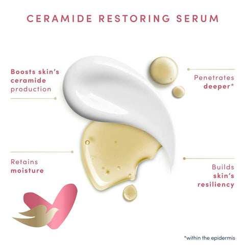 V6HF8BDDC41DB8BED84DB977B6542C8DD37R3664311P3