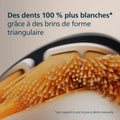 V2HB4CDD3196FB3D385289F47BD3F31AEE5R5782882P5