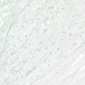 V4H4A1A9F0D00026BD760EA1946CE5D9F6DR7528307P5