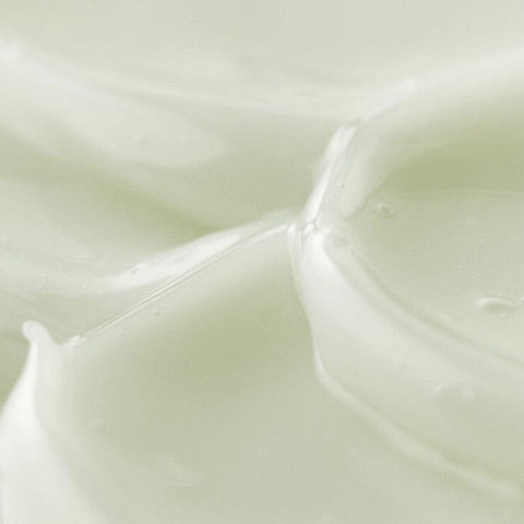 V4H52E6F7EC11925E65B36FC072FCD7D7A5R7528384P5